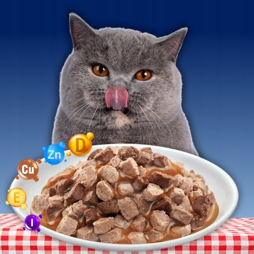 MOKRA KARMA DLA KOTA MEGA BOX MIX SMAKÓW 24X100G SASZETKI DLA KOTA na Arena.pl