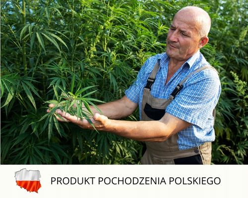 Olejek Konopny CBD Dla Psa 5% 11ml bez THC Weterynaryjny na Arena.pl