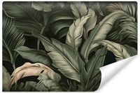 Fototapeta Tropikalne LIŚCIE Bananowca 3D 368cm x 254cm
