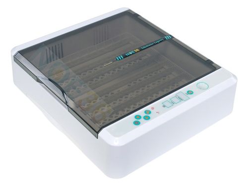 Inkubator Automatyczny NOE36 dla GĘSI kaczek INDYKÓW gołębi KLUJNIK AUTOMAT na Arena.pl