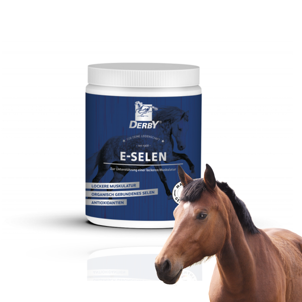 Derby E-Selen + Wit. E Mieszanka Paszowa 1kg zdjęcie 1