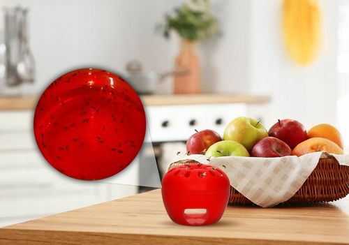 PUŁAPKA NA MUSZKI OWOCÓWKI Z WABIKIEM FRUIT FLY TRAP NO PEST NATURALNA na Arena.pl