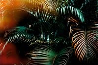 Tło FLAT LAY do fotografii produktowej kulinarnej