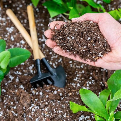 Podłoże MIX - Ziemia - Do Roślin ZIELONYCH PREMIUM Mieszanka Green na Arena.pl