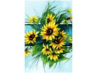 product-compare-58703989