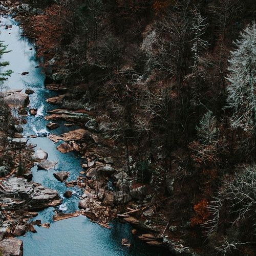 Deco Panel, Rzeka w lesie 40x60 na Arena.pl