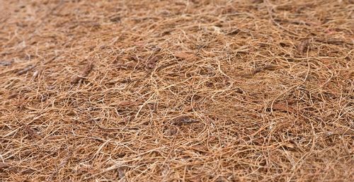 ND33_SILLO-0140 MATERAC KOKOS-PIANKA-KOKOS LUXE 1 na Arena.pl