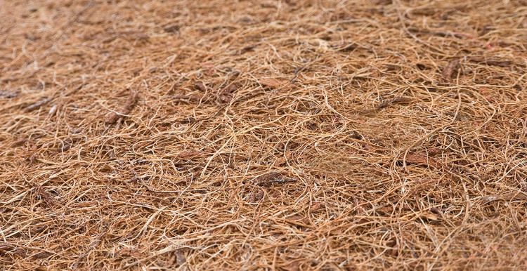 ND33_SILLO-0140 MATERAC KOKOS-PIANKA-KOKOS LUXE 1 zdjęcie 7