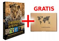 ZWIERZĘTA AFRYKI - PRZEWODNIK NA SAFARI W. 2025 ANNA OLEJ-KOBUS