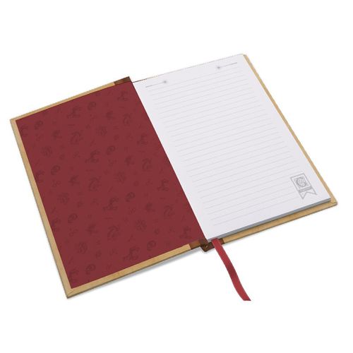 HARRY POTTER - Notes Hogwart na Arena.pl
