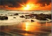 product-compare-58711950