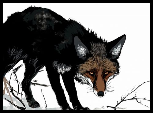 Plakat 55x40cm Nieufny Lis na Arena.pl