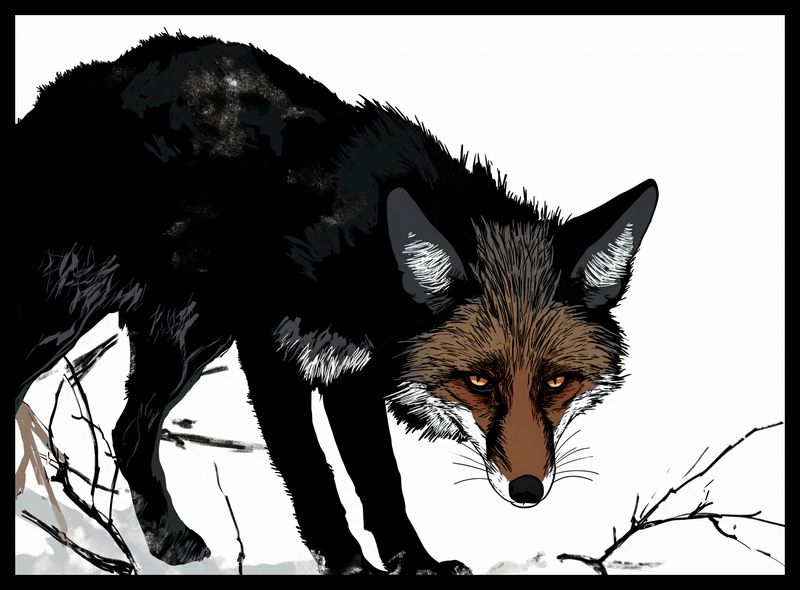 Plakat 55x40cm Nieufny Lis zdjęcie 2