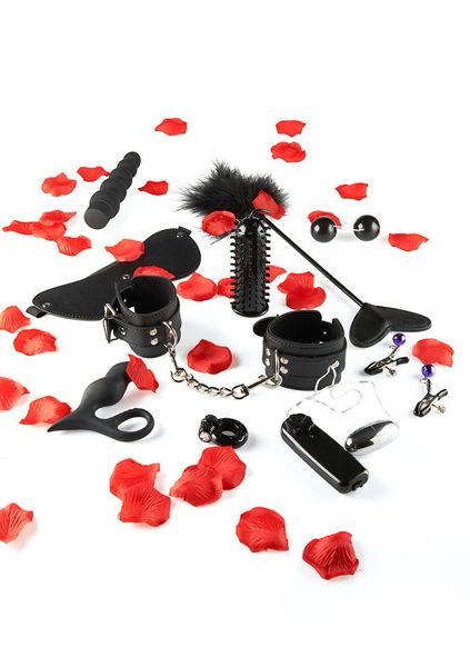 Zestaw Erotyczny Amazing Pleasure Sex Toy Kit - Toy Joy zdjęcie 2
