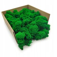 Mech Chrobotek Reniferowy - Fiński - Oczyszczony - Zielony 500g