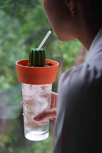 Miseczka na przekąski Cacnuts pomarańczowo-zielona 10284-OR-GN na Arena.pl