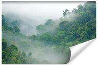 Fototapeta Do Salonu LAS We Mgle Natura Krajobraz 3D 300cm x 210cm
