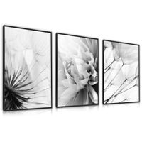 Zestaw X3 Plakat W Ramie Czarno-Białe Kwiaty Dmuchawce 60cm x 80cm