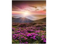 75CM 60CM OBRAZ ŚCIENNY [8] DRUK PŁÓTNO