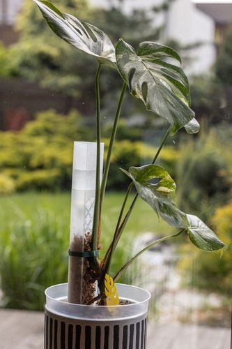 SPHAGROW AQUADRIP Nawadniacz kropelkowy do palika SPHAGROW D-6-25 na Arena.pl