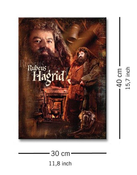 Harry Potter Hagrid - Obraz na płótnie 30x40 cm zdjęcie 4