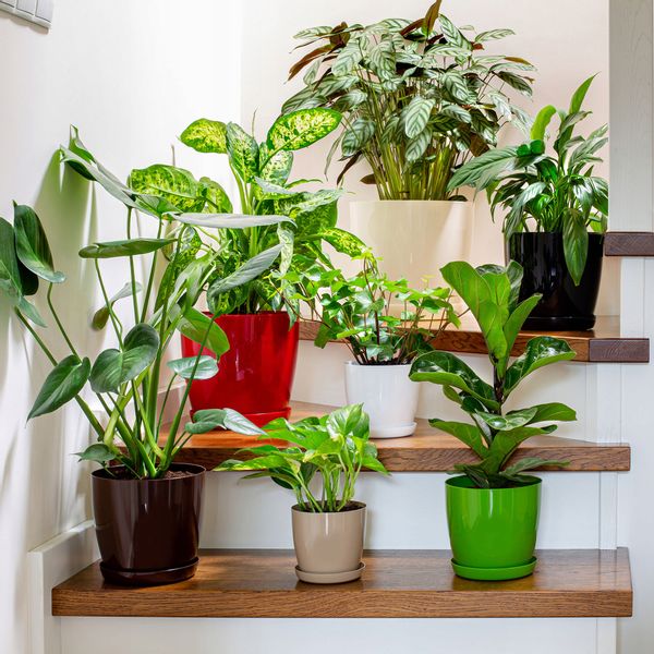 DONICZKA OSŁONKA Z PODSTAWKĄ DONICA 14cm KOLORY zdjęcie 9