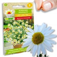 RUMIANEK POSPOLITY NASIONA RUMIANKU ZIÓŁ LECZNICZY CHAMOMILLA 0,5G
