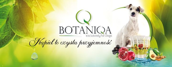 BOTANIQA Show Line dogłębnie myjący KONCENTRAT 1L zdjęcie 4