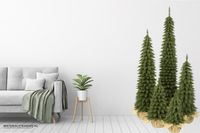 CHOINKA Świerk SLIM w jucie 160CM różne rozmiary
