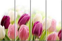 product-compare-58698638