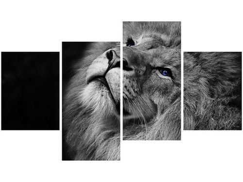 140CM 70 OBRAZ SREBRNY LEW NIEBIESKIMI OCZYMA ŚCIENNY na Arena.pl