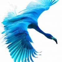 Plakat 90x90cm Błękitny Lot