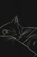 Plakat 53x81cm Nocny Spokój