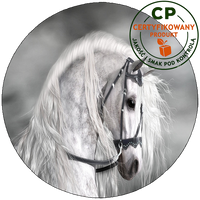 Opłatek na tort Konie