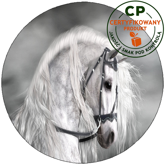 Opłatek na tort Konie zdjęcie 1