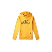 Bluza O'Neill Logo Hoodie Jr 92800615006 140