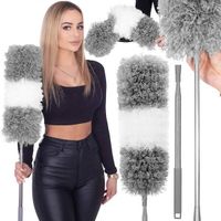 Miotełka do kurzu teleskopowa szczotka do pajęczyn 78,5-280 cm biało-szara