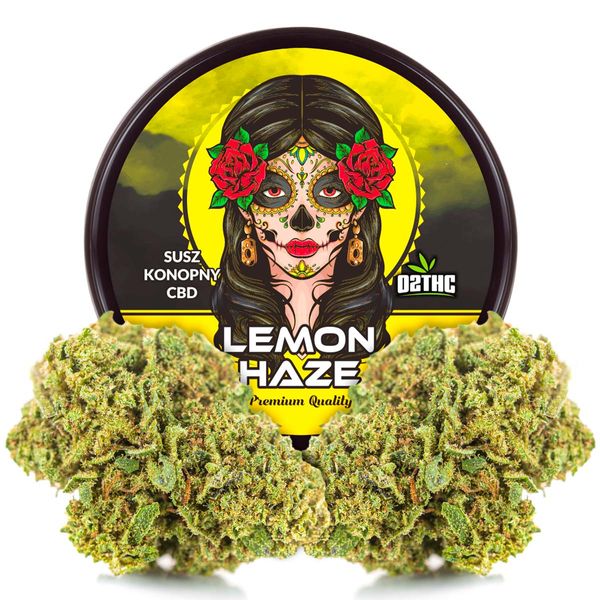 Susz konopny CBD | LEMON HAZE | 1 g zdjęcie 7
