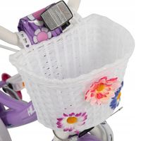 12-calowy rower dla dzieci 2-4 lat Koło treningowe Hand&Coaster Hamulec