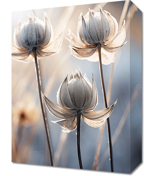 Obraz 30x40cm Poetycka Jesień zdjęcie 1