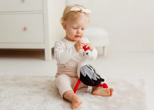 Bocian Sensoryczny na Arena.pl