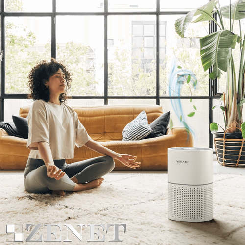 Oczyszczacz Powietrza ZENET 201 na Arena.pl