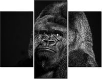 70 90CM OBRAZ 3 ELEM GORILLA FACE FEANS ŚCIENNY PŁÓTNO