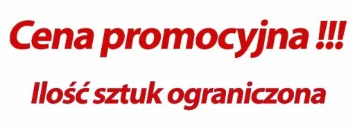 GRILL OGRODOWY CARBO WĘGLOWY RUSZT ŻELIWNY DUŻY XXL zdjęcie 6