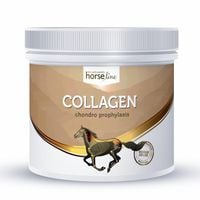 HorseLinePRO Collagen 300 g - kolagen