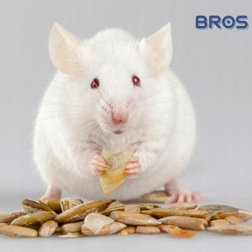 BROS LEP NA MYSZY SZCZURY GRYZONIE PUŁAPKA KLEJOWA WABIĄCA ZAPACHEM 12 na Arena.pl