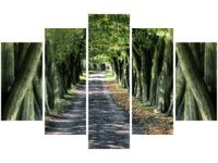 OBRAZ LEŚNA DROGA POMIĘDZY DRZEWAMI