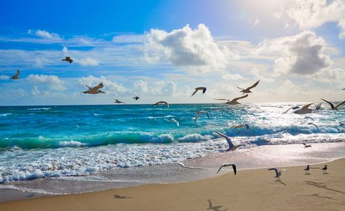 Fototapeta Plaża Morze Fale Flizelina 208x146 na Arena.pl