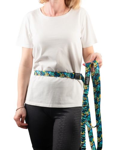 Smycz do biegania z amortyzatorem - Chaba Story III L 25mm/280cm Carnival na Arena.pl