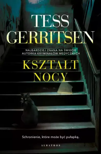 Kształt nocy zdjęcie 1